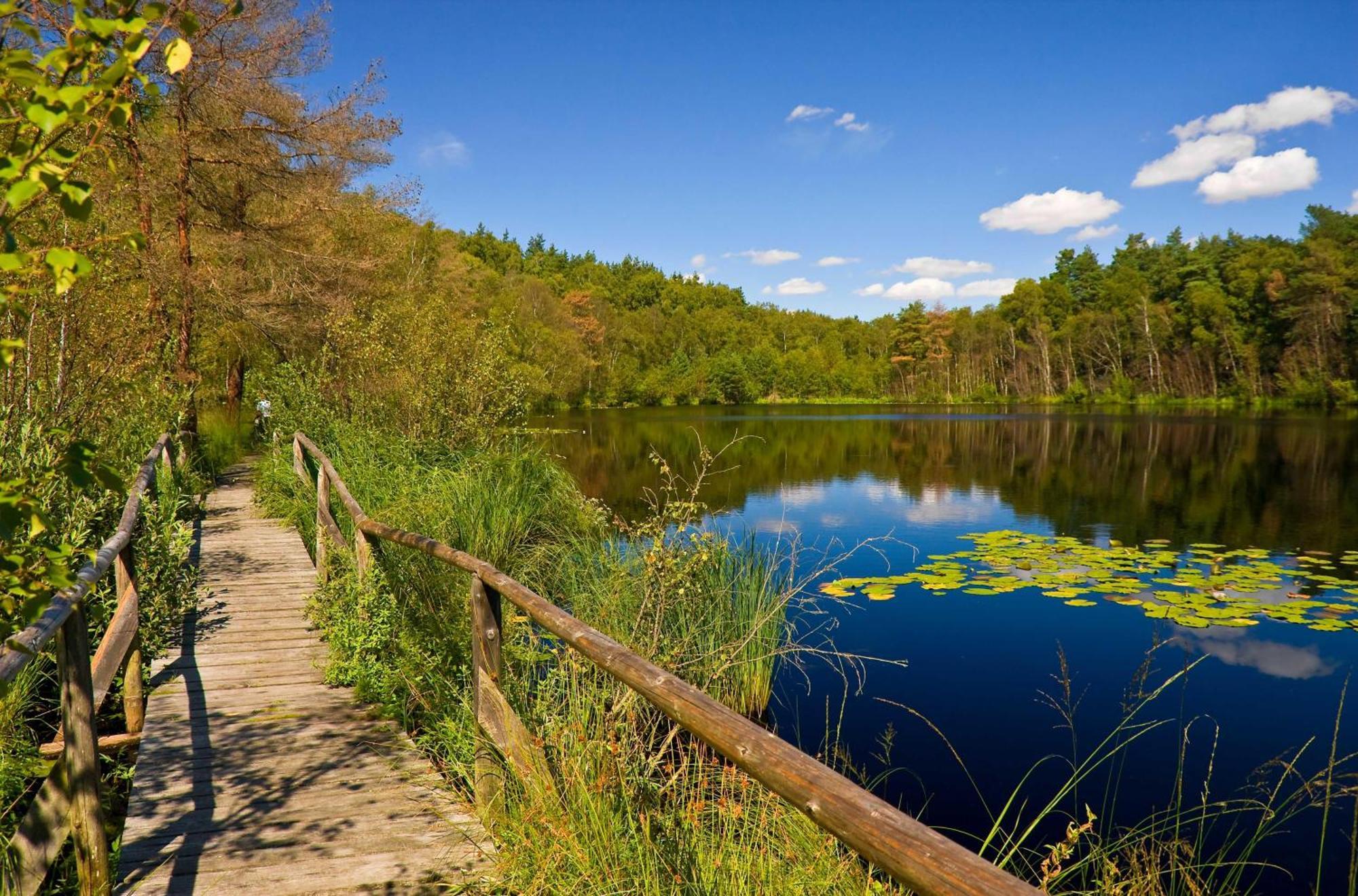 Havelquelle Mit Sauna Und Garten Kratzeburg Zewnętrze zdjęcie